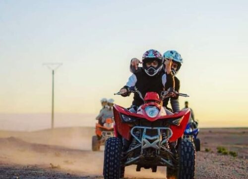 Aventure Quad & Chameaux dans la Palmeraie de Marrakech