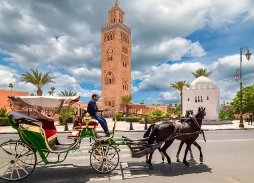 Visite guidée de Marrakech