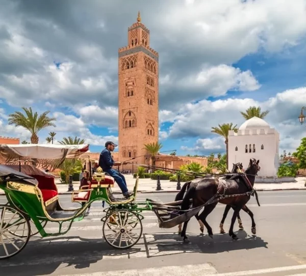 Visite guidée de Marrakech